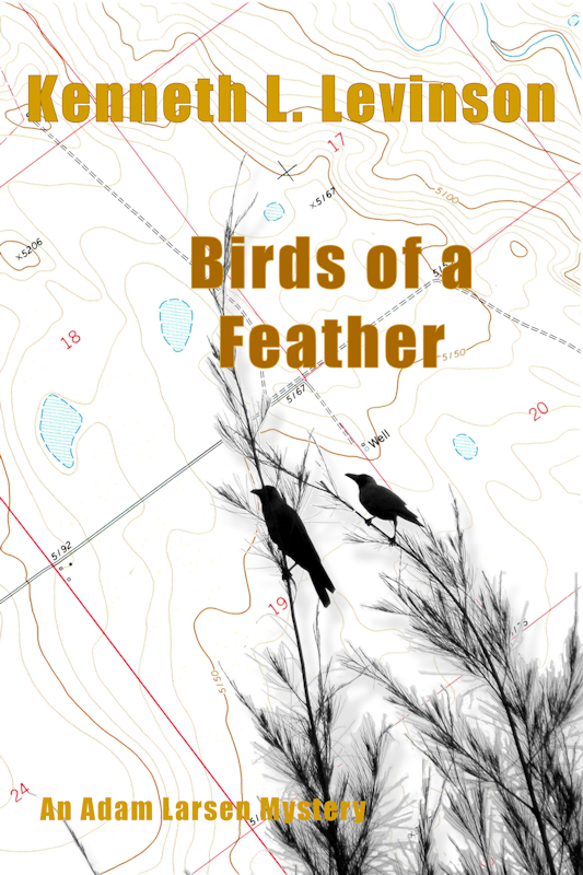 Birds of a Feather Cover